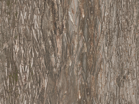 无缝树皮纹理贴图