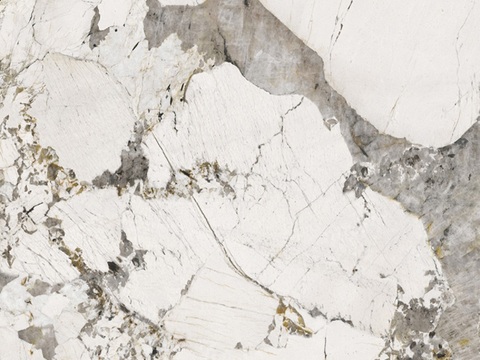 轻奢白色花纹奢石大理石