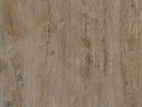 现代无缝古树表皮旧木贴图