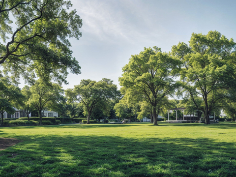 现代白天小区外景庭院外景别墅外景
