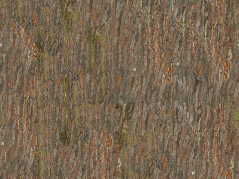 无缝自然树皮纹理贴图