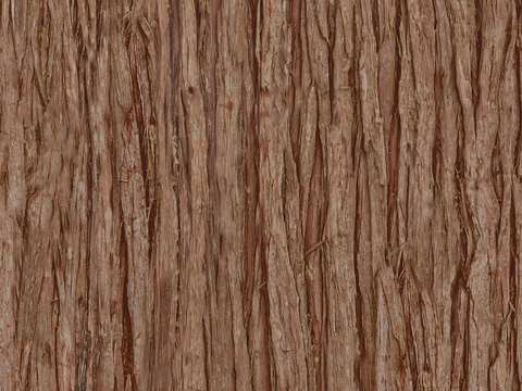 现代无缝树皮贴图
