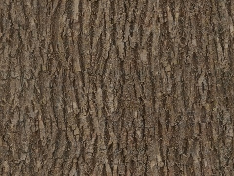 现代无缝树皮贴图