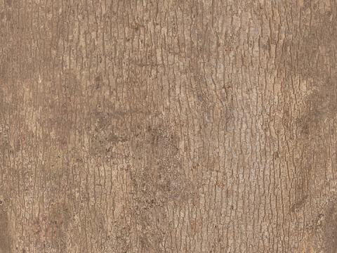 现代无缝树皮贴图