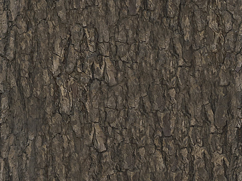 无缝自然树皮纹理贴图
