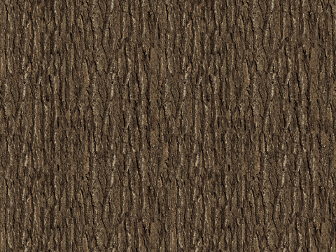 现代无缝树皮贴图