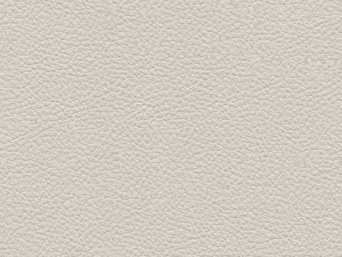 无缝米色细纹皮革