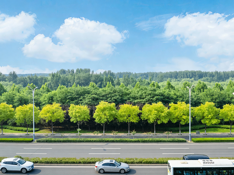 现代公路自然风景