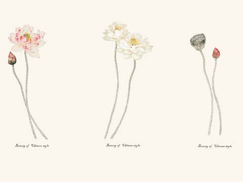 中式新中式花鸟植物壁纸壁画装饰画