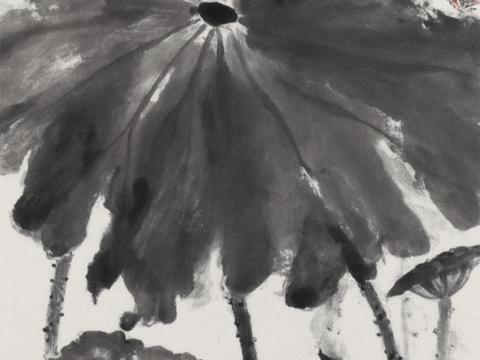 国画 水墨荷花 水墨挂画 荷叶荷花