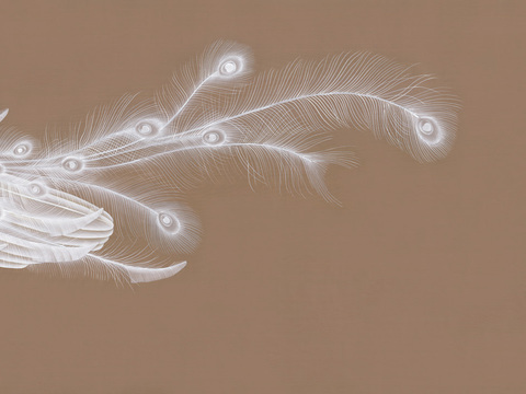  中式新中式羽毛壁纸壁画 