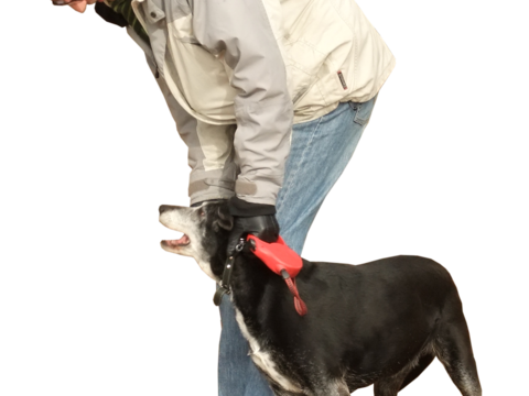  休闲行走站立人物 