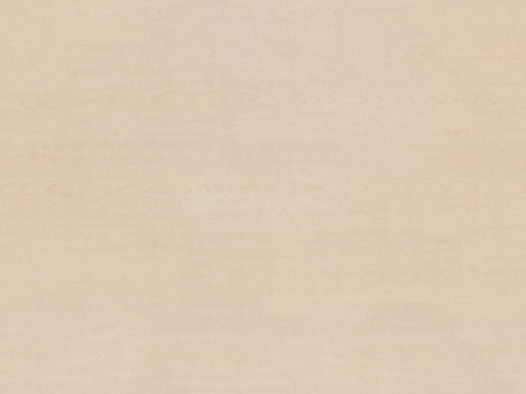 无缝浅色木饰面