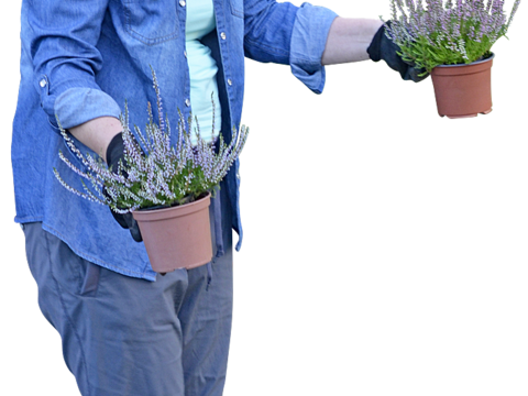 高清免扣人物集合