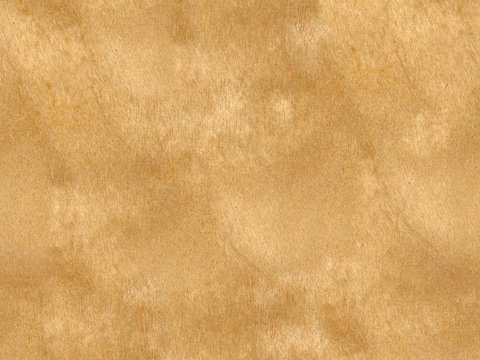 无缝原木色木饰面