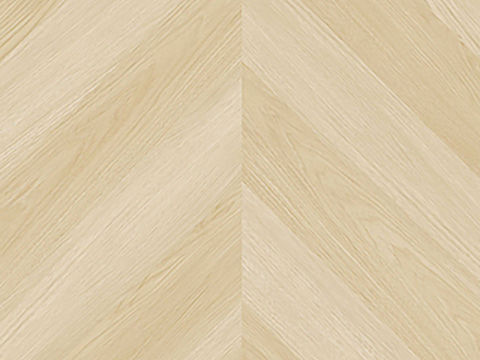 现代法式鱼骨拼木地板