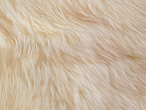  动物皮毛，毛绒地毯 