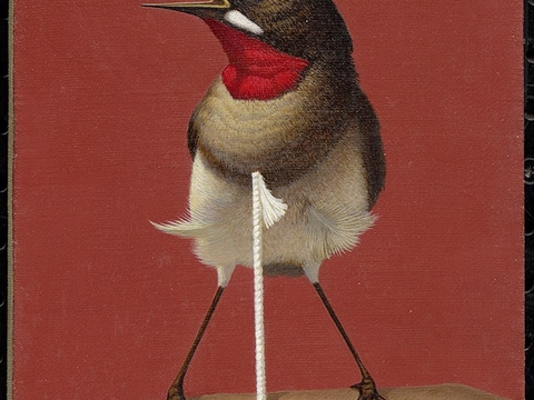 静物油画，静物画，抽象画，装饰画，艺术画