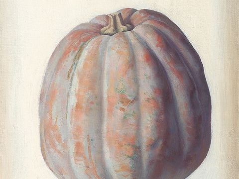 静物油画，静物画，抽象画，装饰画，艺术画