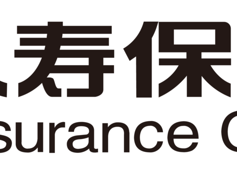 建信人寿2，保险人寿logo