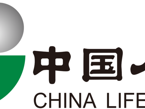 中国人寿，保险人寿logo