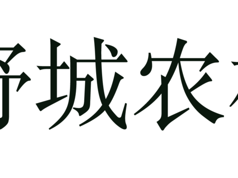 安徽舒城农村商业银行，国内银行logo