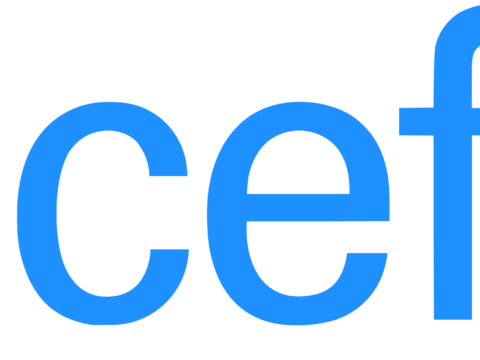 联合国儿童基金会，政府机构logo
