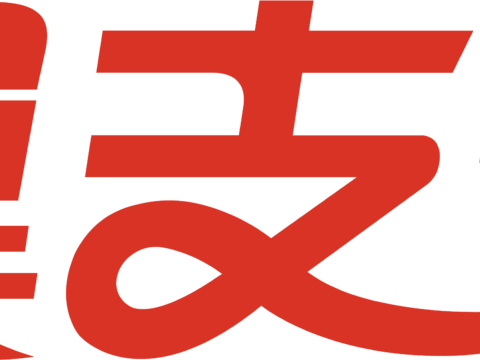 翼支付，支付平台logo