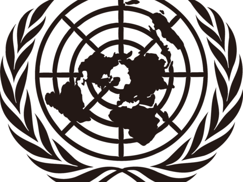 联合国，政府机构logo