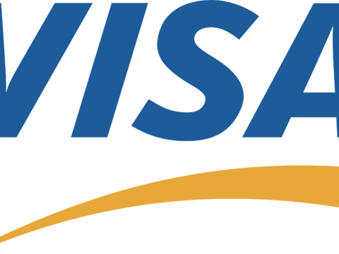 visa 5，支付平台logo
