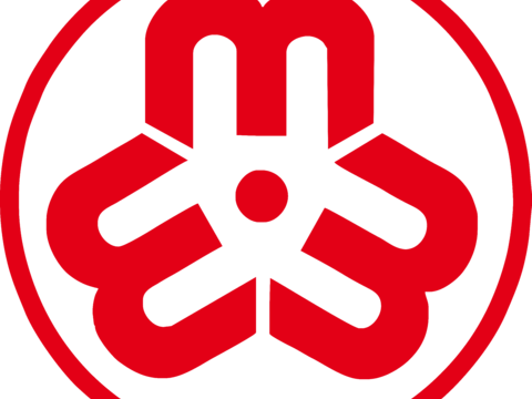 妇联，政府机构logo