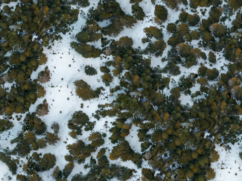 铺满白雪的树林森林俯视图7