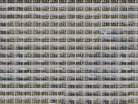  菜地农田农作物俯视图98 