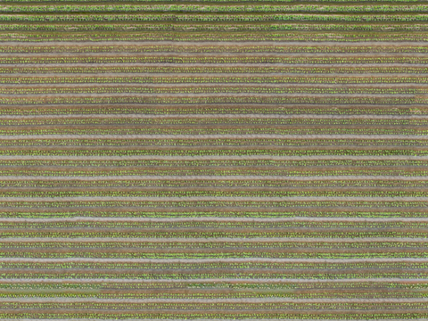  菜地农田农作物俯视图50 