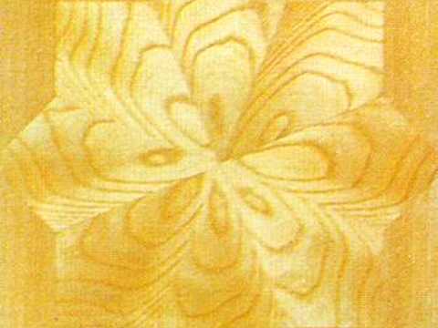  拼花木地板木拼板3D立体地板花纹木纹木质拼花 