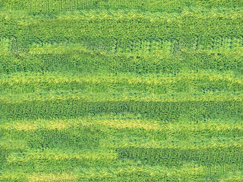  菜地农田农作物俯视图4 