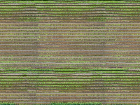  菜地农田农作物俯视图54 
