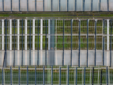  菜地农田农作物俯视图78 