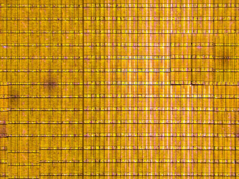  菜地农田农作物俯视图115 