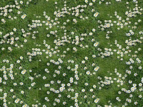  灌木花丛，灌木丛7 