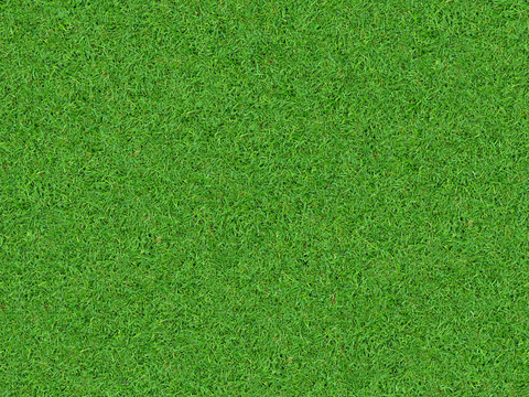  草地草皮草坡82 