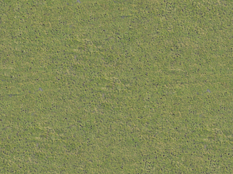  草地草皮草坡105 