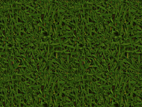 草地草皮草坡37