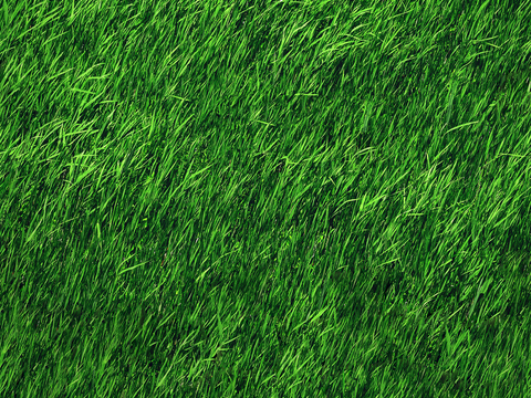 草地草皮草坡39