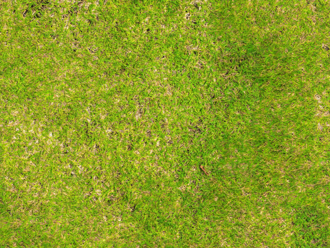 草地草皮草坡120