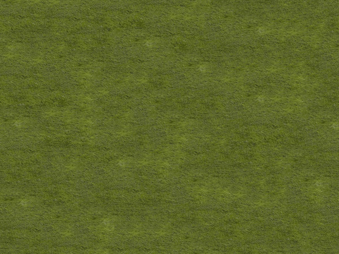 草地草皮草坡114