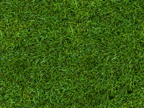 草地草皮草坡51