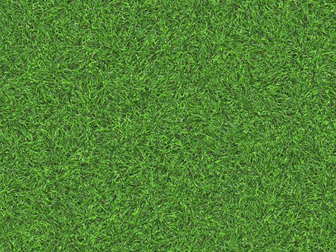  草地草皮草坡70 