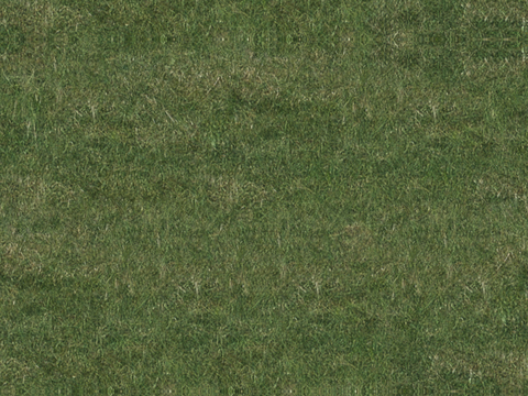 草地草皮草坡111