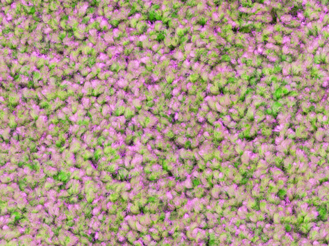 灌木花丛，灌木丛153